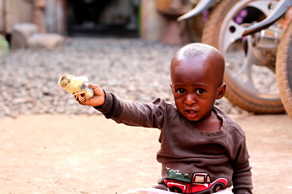 Adama, my host brother here in Guinea, is not content with the baby chicken.