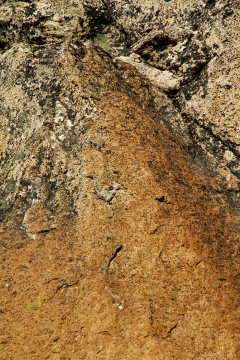 nahuel-huapi - 7