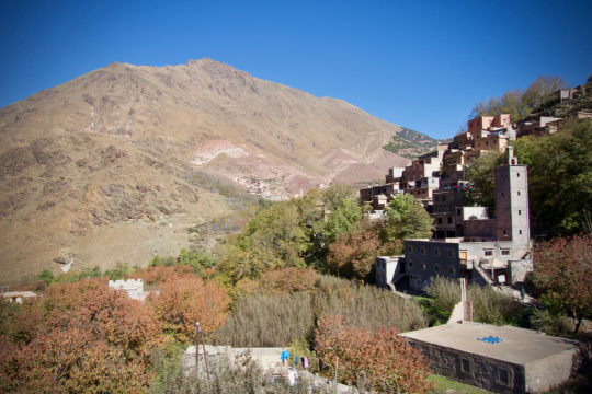 DSC01524